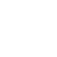 Lightbulb icon